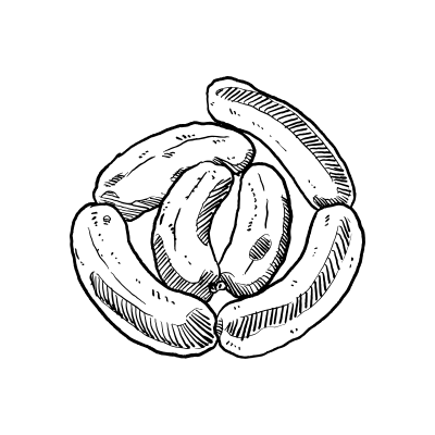 farm-to-table-icon-05