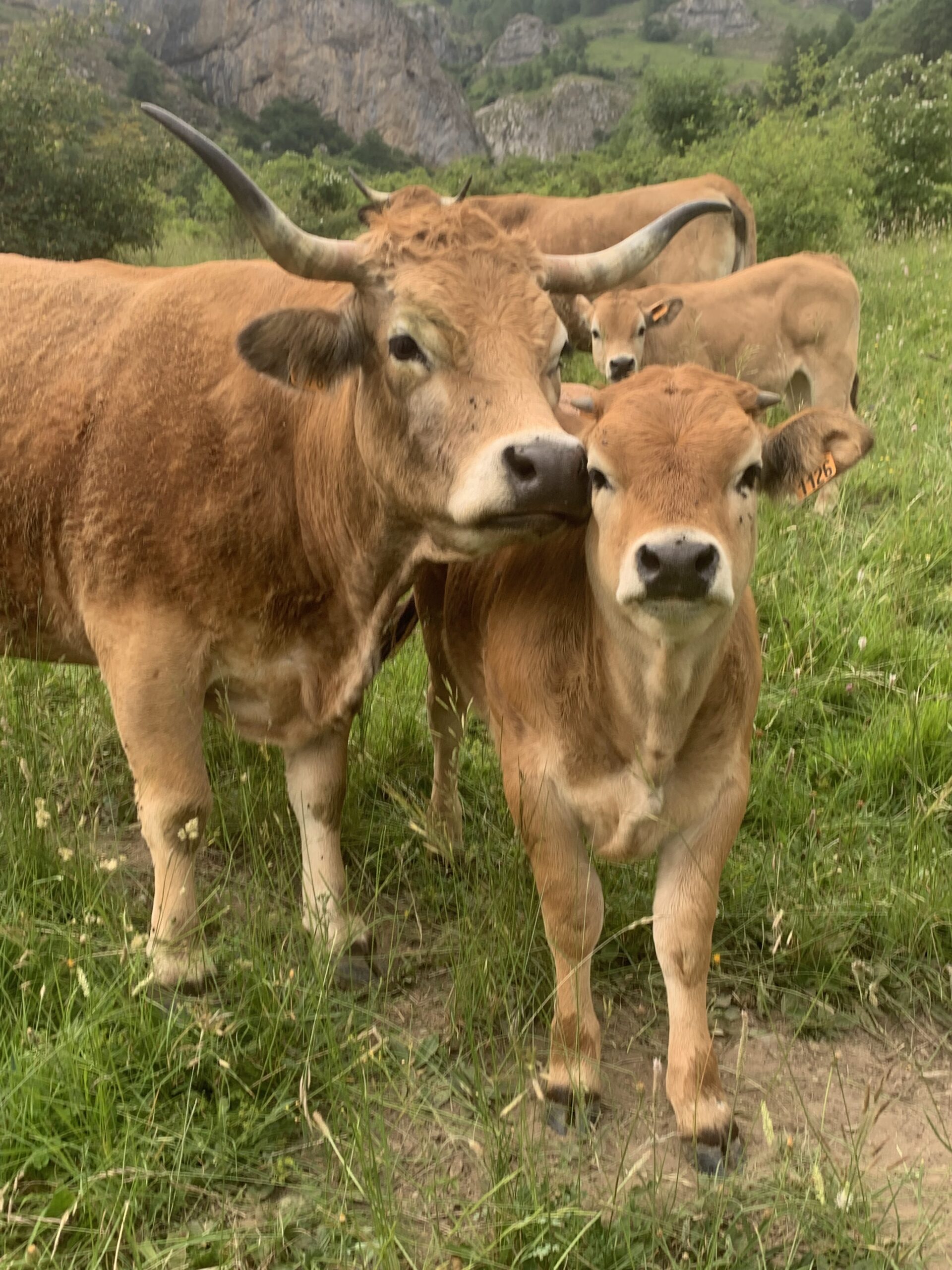 Farm-to-table-42